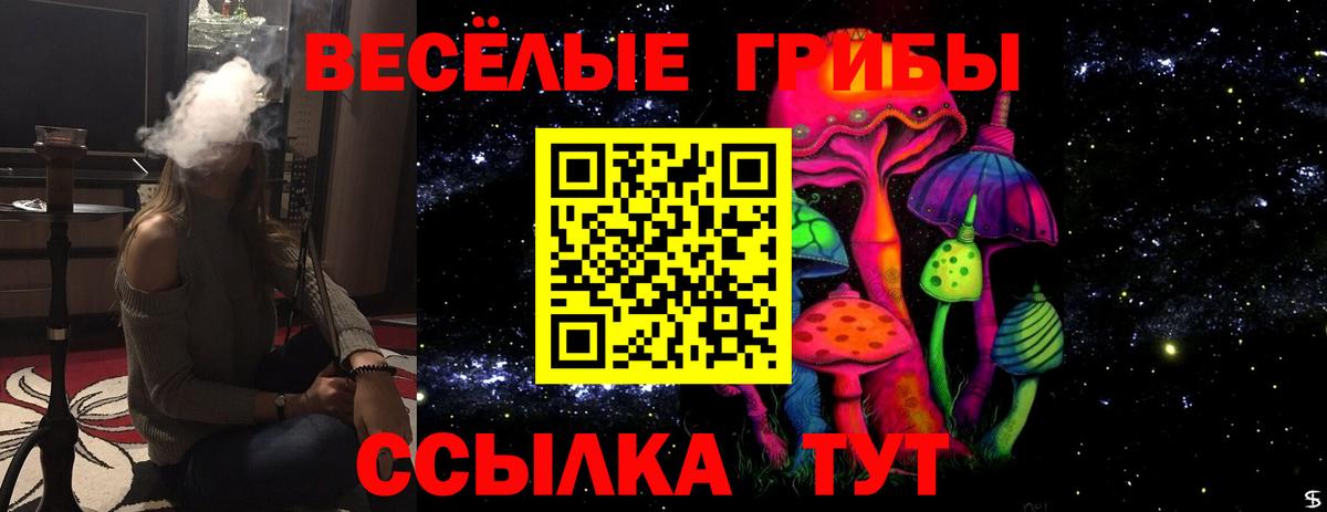 Галлюциногенные грибы MAGIC MUSHROOMS  Псилоцибиновые грибы Cubensis  Вход с VPN  Рыбинск 